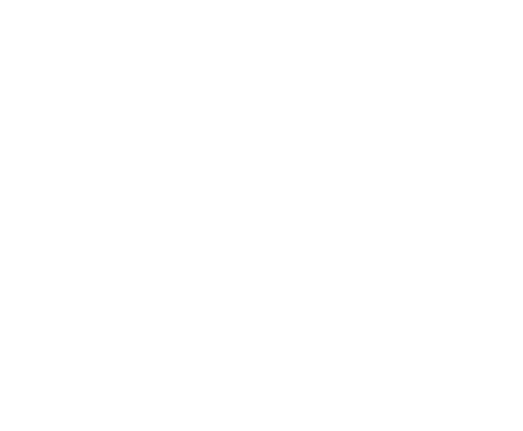 fmt-logo-523x431-white